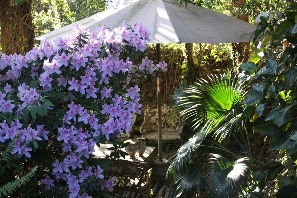 לינה וארוחת בוקר אוליבוס La Casona De Grace מראה חיצוני תמונה