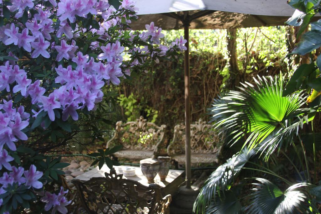 לינה וארוחת בוקר אוליבוס La Casona De Grace מראה חיצוני תמונה